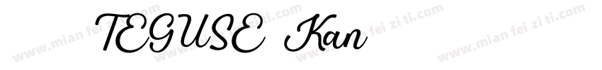 073 TEGUSE Kan字体转换